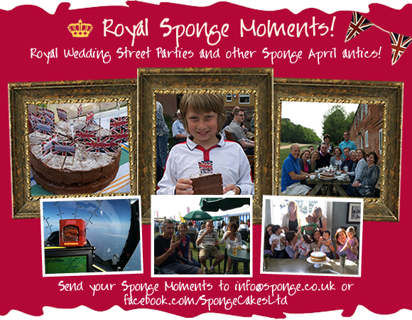 Royal Sponge Moments