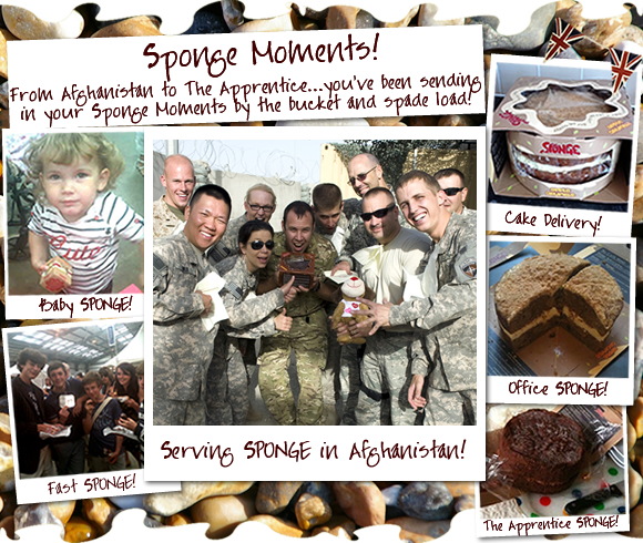 Sponge Moments: From Afghanistan to The Apprentice!