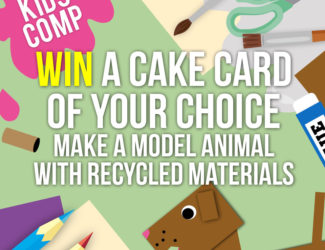 蛋糕卡儿童比赛-做一个模型动物