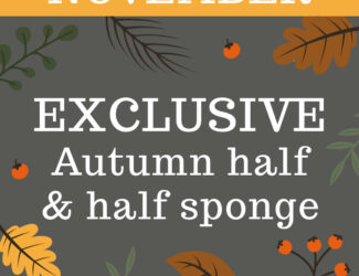 November Sponge Club - Exclusive Autumn half & Half cake - Thumbnail
