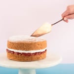 Vegan Victoria Sponge Cake