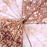 Traditional Four Flavour Sharing Cake