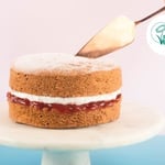 Vegan Victoria Sponge Cake