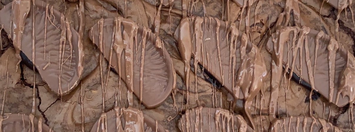 Bryonys Chocolate Orange Brownies
