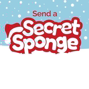 secret sponge