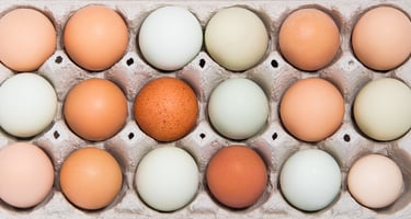 Eggs