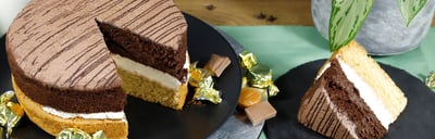 Vegan Millionaires  - Blog Banner