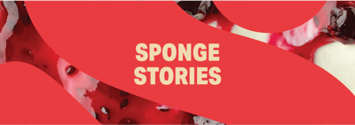 Sponge Stories