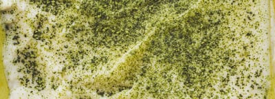 Matcha Misu Blog Banner