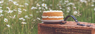 Picnic Blog Banner