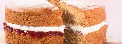 Vegan Banner