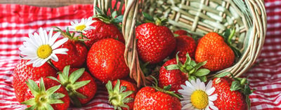 Summer Berries: The fruit of the moment