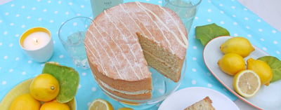 Lemon Cake - Cakes for Picnics - Blog Banner