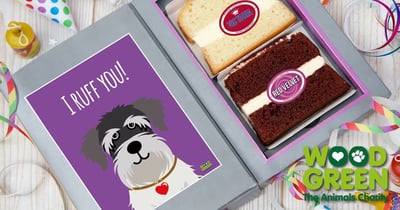 Pet charity Cards banner
