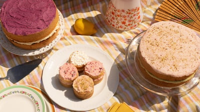 Summer picnic scene featuring whole sponge cakes and mini Baby Sponge cake portions with berry, pistachio, and citrus toppings on a striped blanket.
