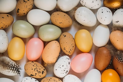 Eggs