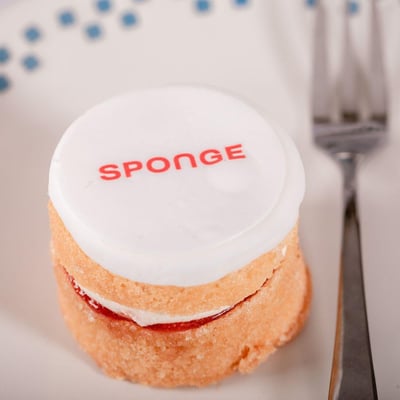 Baby Sponge