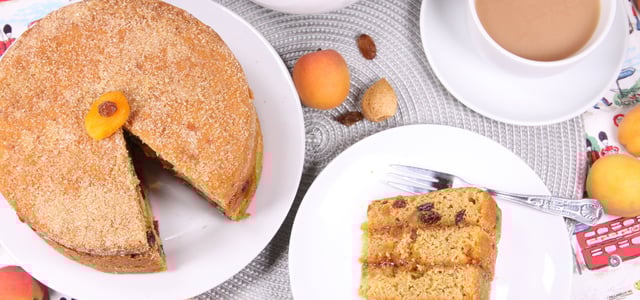 Elizabeth Soya Free Sponge