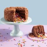Gluten Free Pinata Cake - Pinata Chocolate Cake - Whole - Uncut - top view