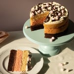 Neapolitan Cake - Whole Cake on a cake stand