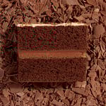 Slice Chocolate Cake on bed of chocolate