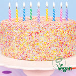 Vegan Birthday Cake with candles