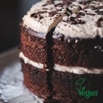 Vegan Chocolate Caramel Fudge Slice Cutting