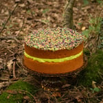 Vegan Halloween Cake