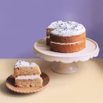 Vegan Lemon and Elderflower Cake slice out