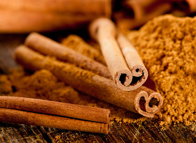 Cinnamon sticks close up