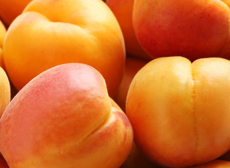 Apricots- close up