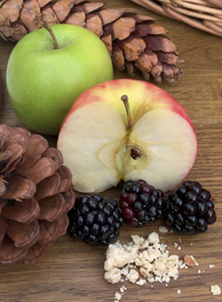 Apple and Blackberry Crumble Cake