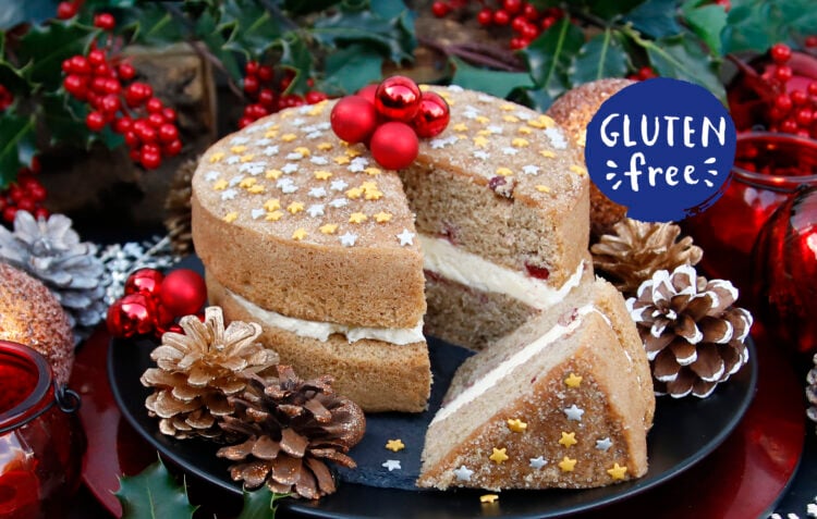 Gluten Free Cranberry and Orange Cake