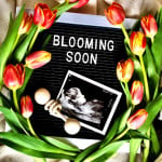 Pregnancy Cake Cards