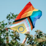 Pride Cake Cards