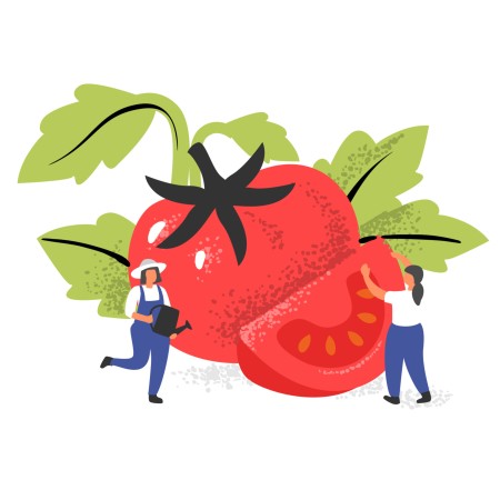Topped cake illustration
